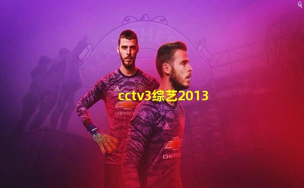 cctv3综艺2013