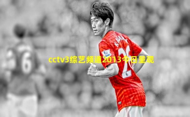 cctv3综艺频道2013今日呈现