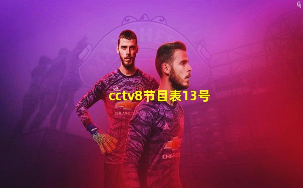 cctv8节目表13号