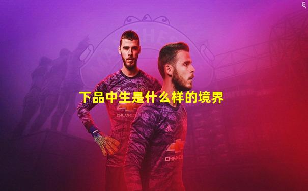 下品中生是什么样的境界