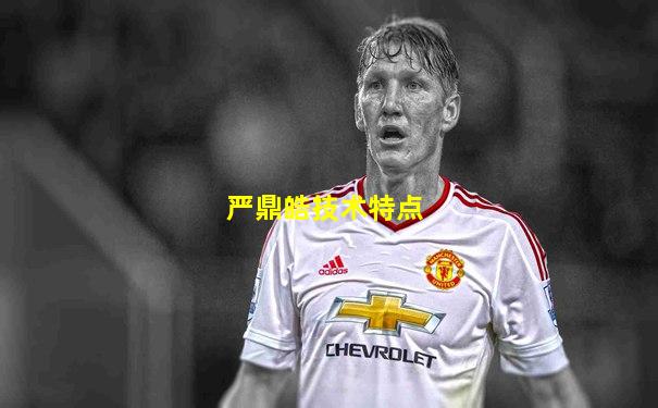 严鼎皓技术特点