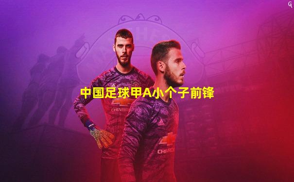 中国足球甲A小个子前锋