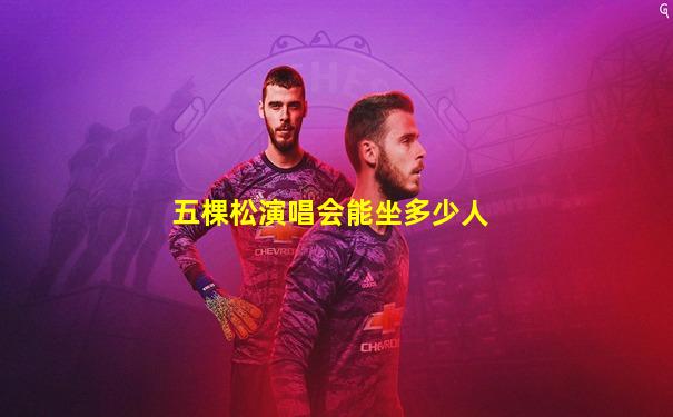 五棵松演唱会能坐多少人
