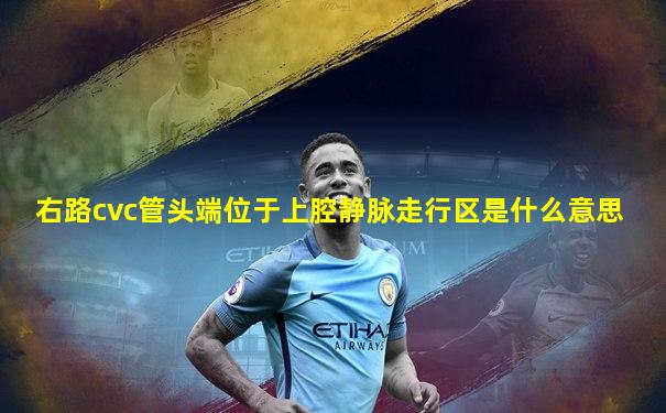右路cvc管头端位于上腔静脉走行区是什么意思
