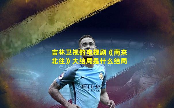吉林卫视的电视剧《南来北往》大结局是什么结局