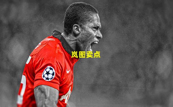 岚图卖点