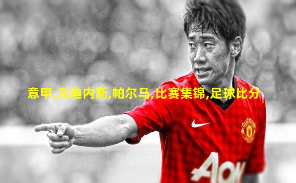 意甲,乌迪内斯,帕尔马,比赛集锦,足球比分