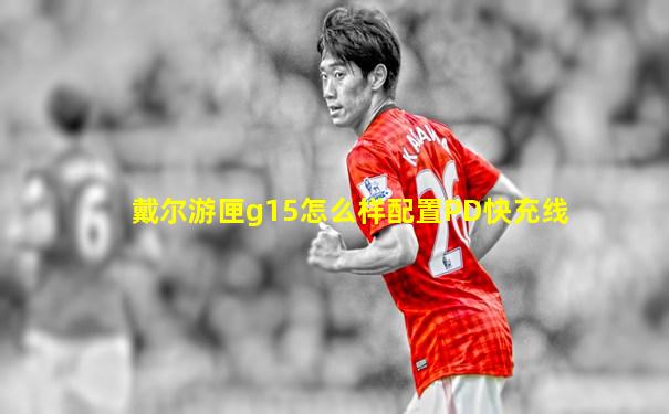 戴尔游匣g15怎么样配置PD快充线