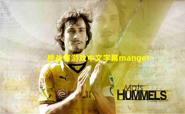 挑战赛游戏中文字幕manget