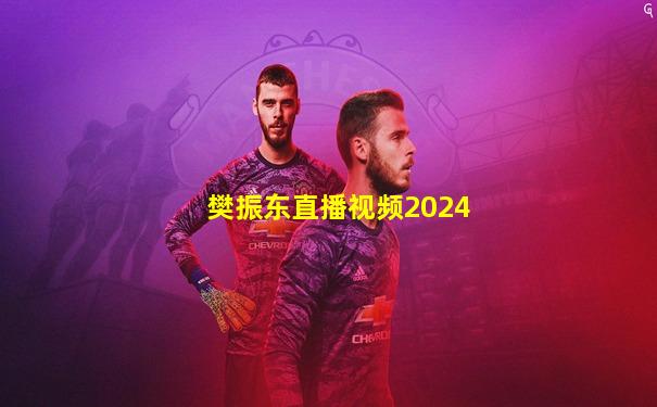 樊振东直播视频2024