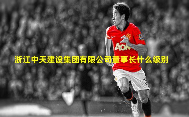 浙江中天建设集团有限公司董事长什么级别