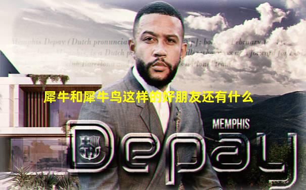 犀牛和犀牛鸟这样的好朋友还有什么