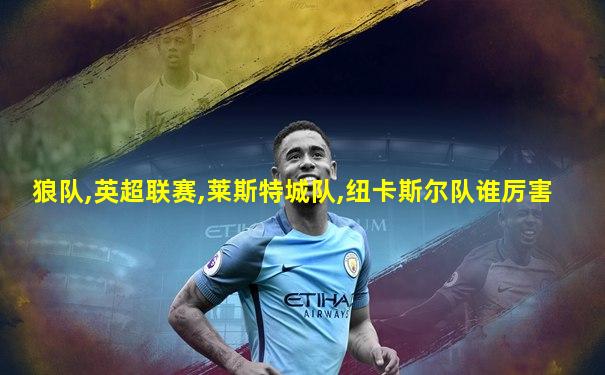 狼队,英超联赛,莱斯特城队,纽卡斯尔队谁厉害