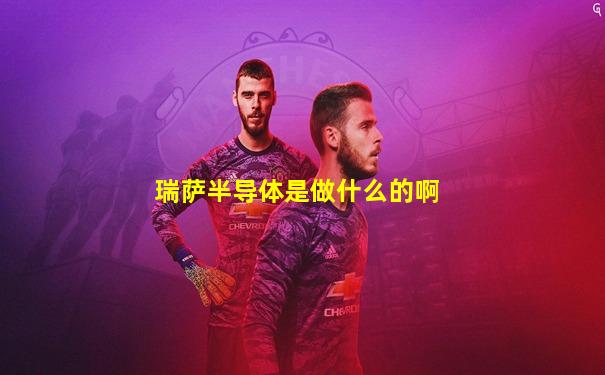 瑞萨半导体是做什么的啊
