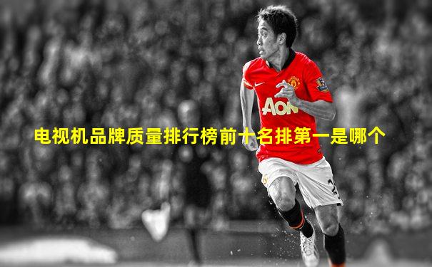 电视机品牌质量排行榜前十名排第一是哪个