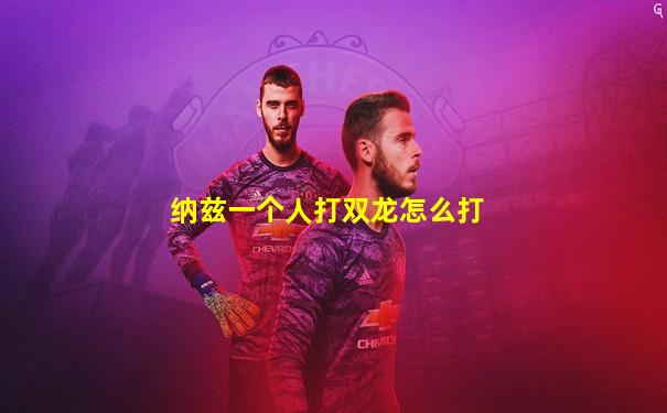 纳兹一个人打双龙怎么打