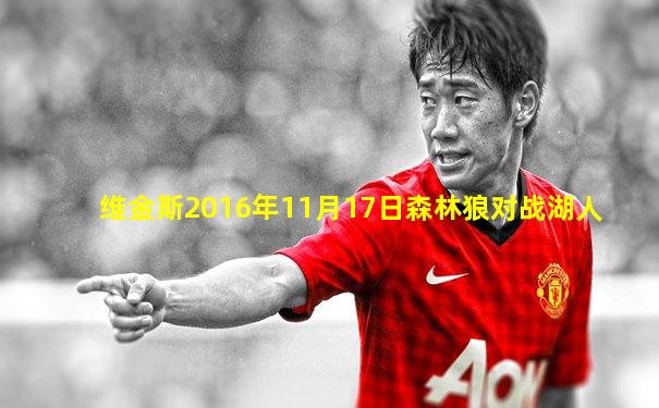 维金斯2016年11月17日森林狼对战湖人