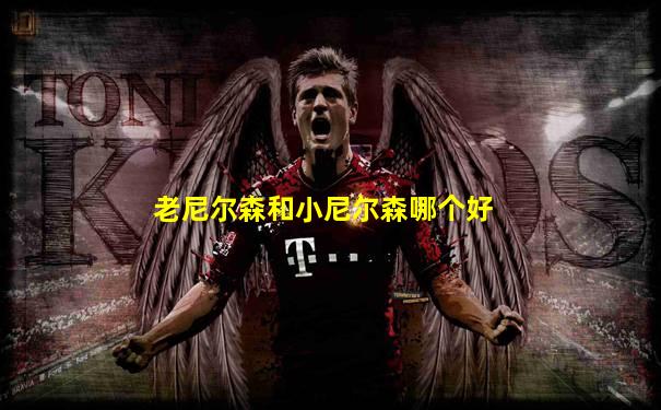 老尼尔森和小尼尔森哪个好
