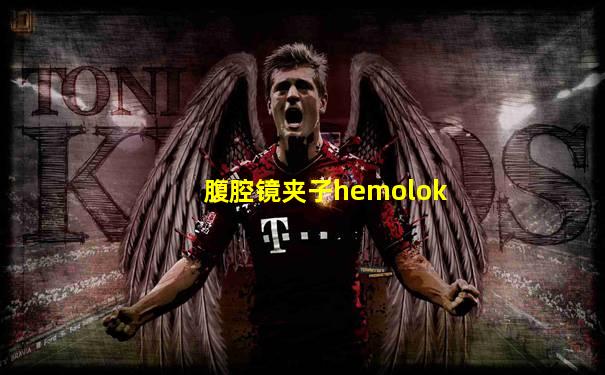 腹腔镜夹子hemolok