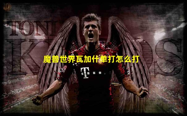 魔兽世界瓦加什单打怎么打
